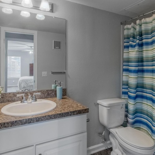 a bathroom with a sink and a toilet